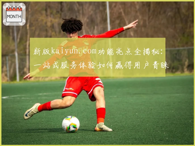 新版kaiyun.com功能亮点全揭秘:一站式服务体验如何赢得用户青睐?